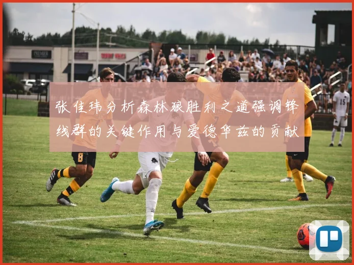 张佳玮分析森林狼胜利之道强调锋线群的关键作用与爱德华兹的贡献