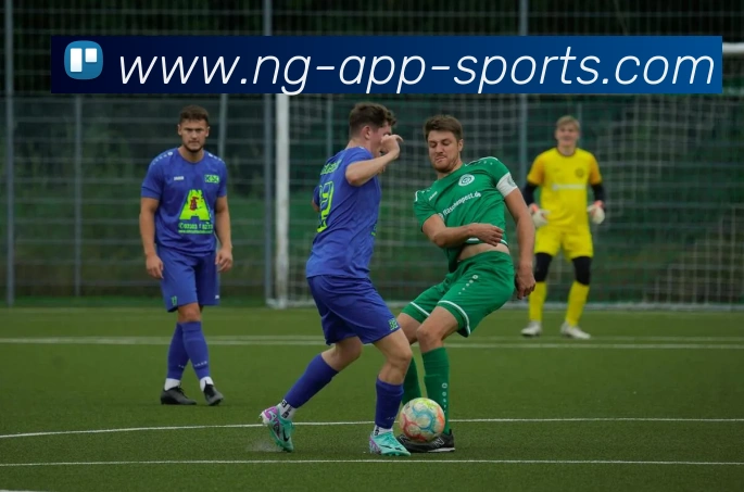 南宫体育平台生态图